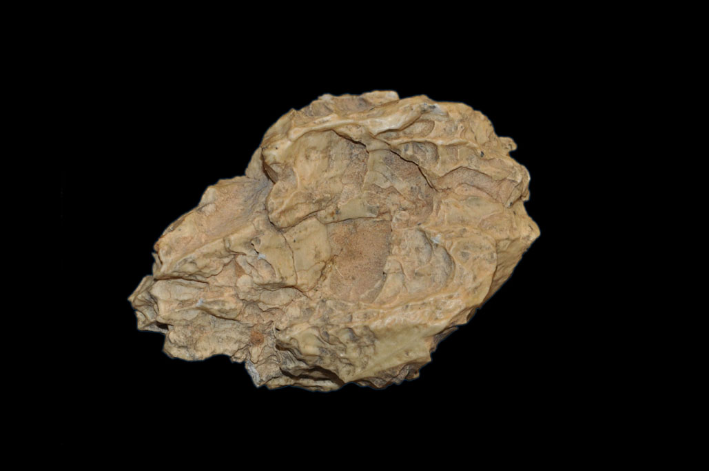 Non-Metallic Mineral Ores